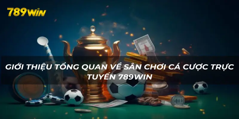 789WIN - Sân chơi cá cược trực tuyến uy tín và chuyên nghiệp hàng đầu 