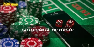 Cách đoán tài xỉu xí ngầu