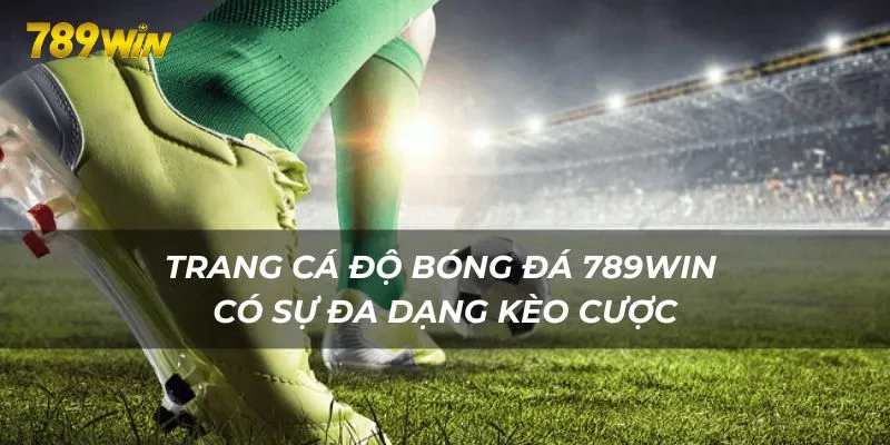 Trang cá độ bóng đá 789WIN có sự đa dạng kèo cược