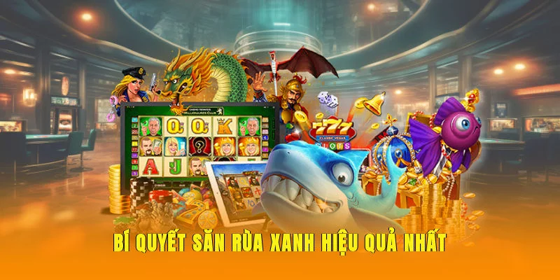 Bí quyết săn Rùa Xanh hiệu quả nhất