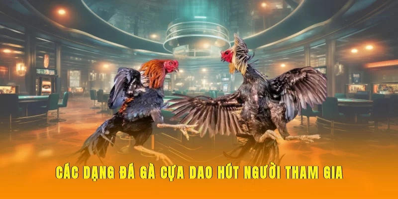 Các dạng đá gà cựa dao hút người tham gia