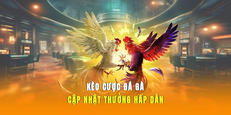 Kèo cược đá gà cập nhật thưởng hấp dẫn
