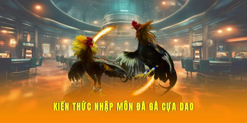 Kiến thức nhập môn đá gà cựa dao