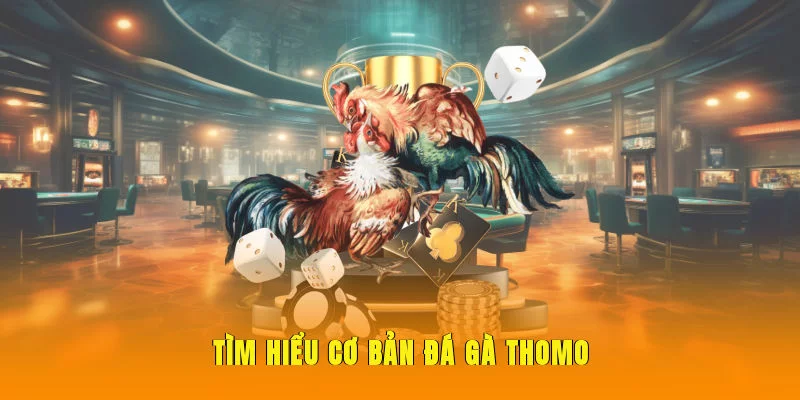 Tìm hiểu cơ bản đá gà Thomo